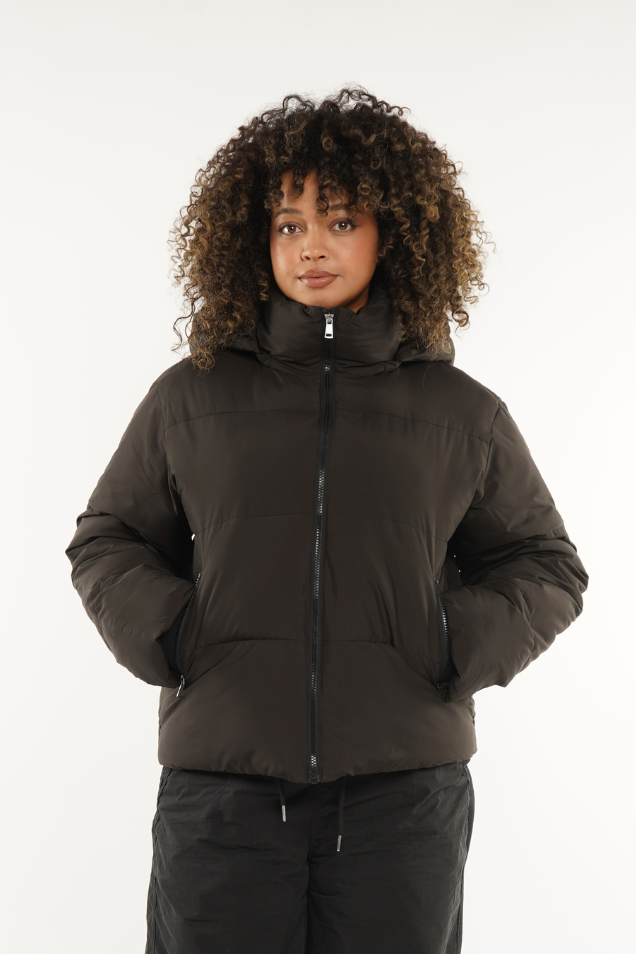 Arctic Glide Jacket